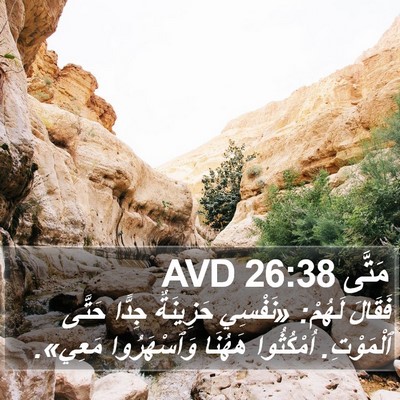 مَتَّى 26:38 AVD Bible Verse Image