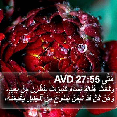 مَتَّى 27:55 AVD Bible Verse Image