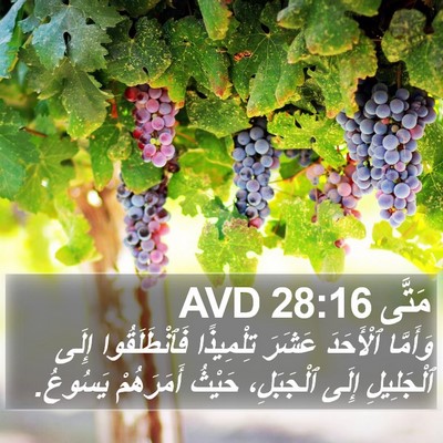 مَتَّى 28:16 AVD Bible Verse Image