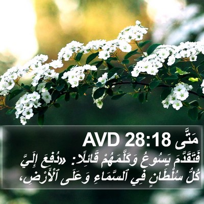 مَتَّى 28:18 AVD Bible Verse Image