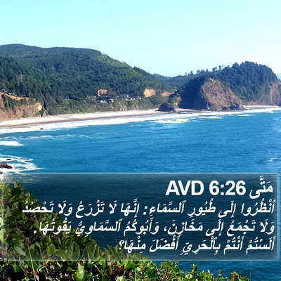 مَتَّى 6:26 AVD Bible Verse Image