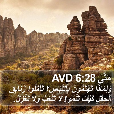 مَتَّى 6:28 AVD Bible Verse Image