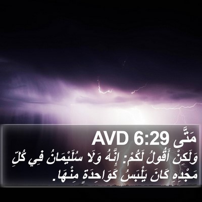 مَتَّى 6:29 AVD Bible Verse Image