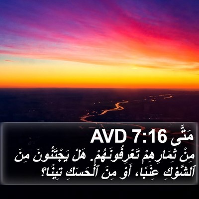 مَتَّى 7:16 AVD Bible Verse Image