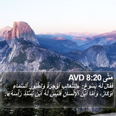مَتَّى 8:20 AVD Bible Verse Image