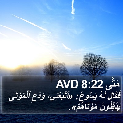 مَتَّى 8:22 AVD Bible Verse Image