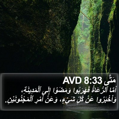 مَتَّى 8:33 AVD Bible Verse Image