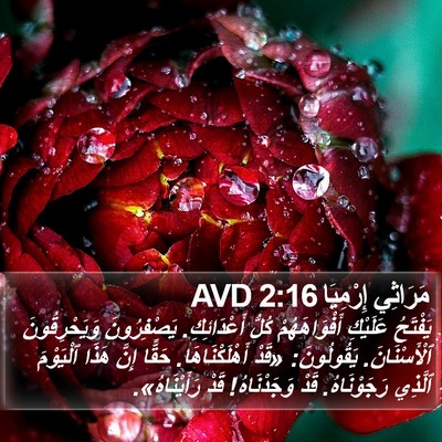 مَرَاثِي إِرْمِيَا 2:16 AVD Bible Verse Image