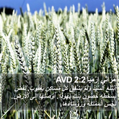 مَرَاثِي إِرْمِيَا 2:2 AVD Bible Verse Image