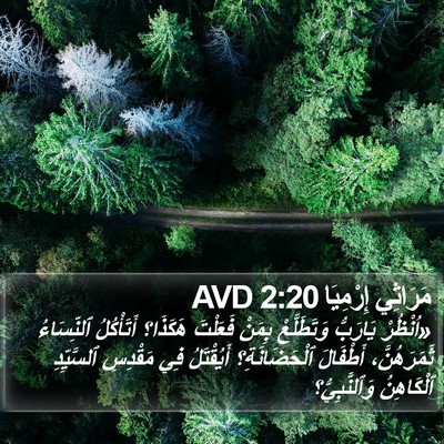 مَرَاثِي إِرْمِيَا 2:20 AVD Bible Verse Image