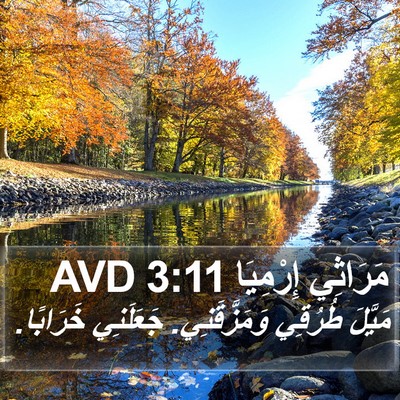 مَرَاثِي إِرْمِيَا 3:11 AVD Bible Verse Image