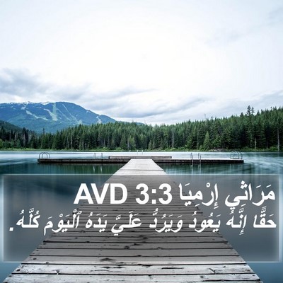 مَرَاثِي إِرْمِيَا 3:3 AVD Bible Verse Image