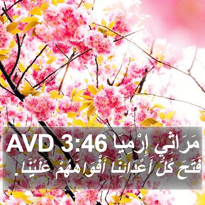 مَرَاثِي إِرْمِيَا 3:46 AVD Bible Verse Image