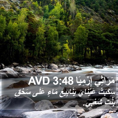مَرَاثِي إِرْمِيَا 3:48 AVD Bible Verse Image