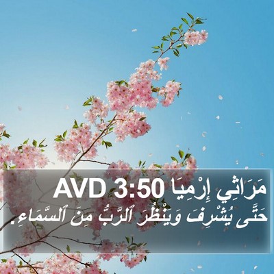 مَرَاثِي إِرْمِيَا 3:50 AVD Bible Verse Image