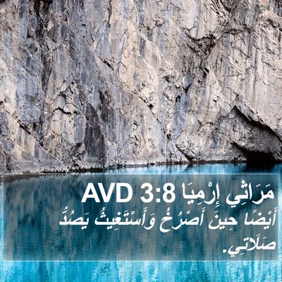 مَرَاثِي إِرْمِيَا 3:8 AVD Bible Verse Image