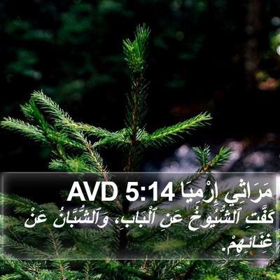 مَرَاثِي إِرْمِيَا 5:14 AVD Bible Verse Image