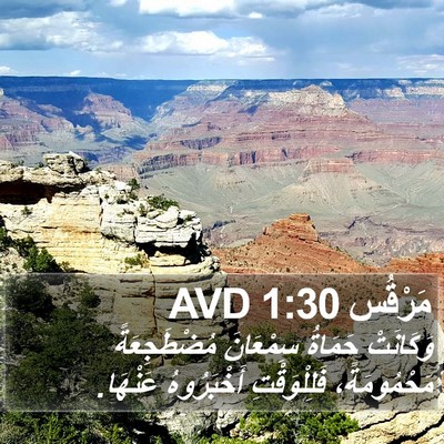 مَرْقُس 1:30 AVD Bible Verse Image