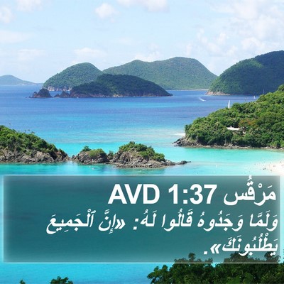 مَرْقُس 1:37 AVD Bible Verse Image