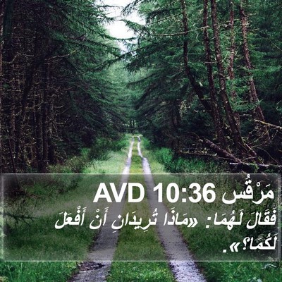 مَرْقُس 10:36 AVD Bible Verse Image