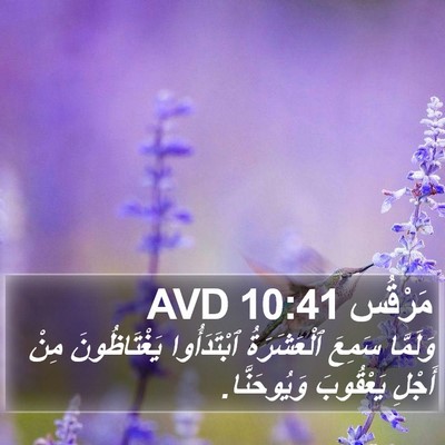 مَرْقُس 10:41 AVD Bible Verse Image