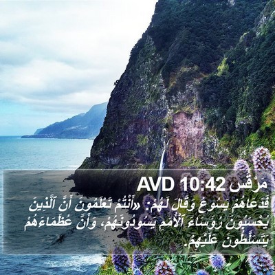 مَرْقُس 10:42 AVD Bible Verse Image