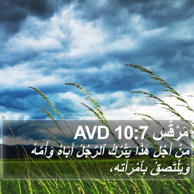 مَرْقُس 10:7 AVD Bible Verse Image