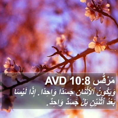 مَرْقُس 10:8 AVD Bible Verse Image