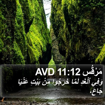 مَرْقُس 11:12 AVD Bible Verse Image