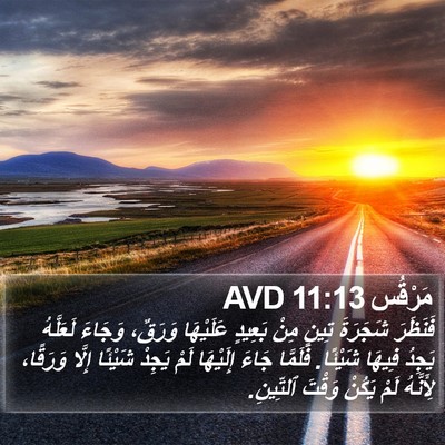 مَرْقُس 11:13 AVD Bible Verse Image
