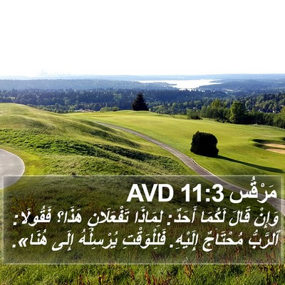 مَرْقُس 11:3 AVD Bible Verse Image
