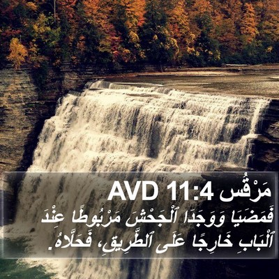 مَرْقُس 11:4 AVD Bible Verse Image