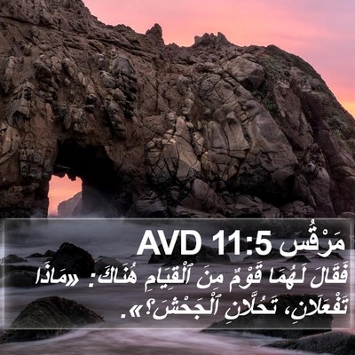 مَرْقُس 11:5 AVD Bible Verse Image