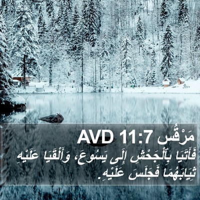 مَرْقُس 11:7 AVD Bible Verse Image