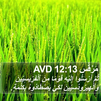 مَرْقُس 12:13 AVD Bible Verse Image