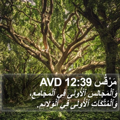 مَرْقُس 12:39 AVD Bible Verse Image