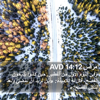 مَرْقُس 14:12 AVD Bible Verse Image