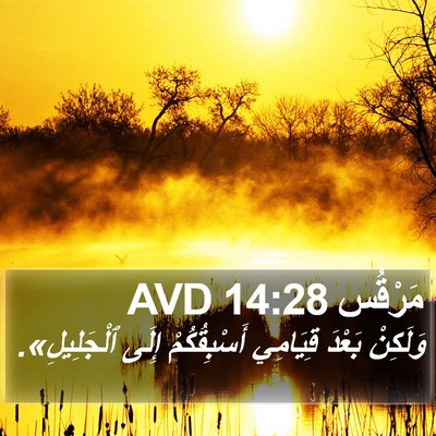مَرْقُس 14:28 AVD Bible Verse Image