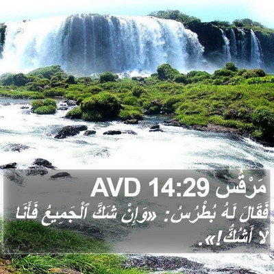 مَرْقُس 14:29 AVD Bible Verse Image