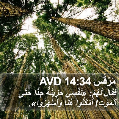 مَرْقُس 14:34 AVD Bible Verse Image