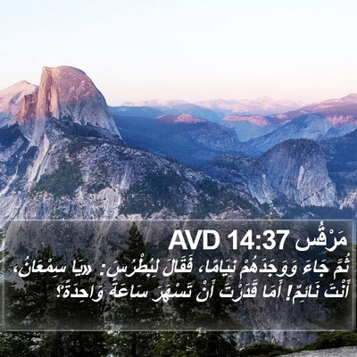 مَرْقُس 14:37 AVD Bible Verse Image