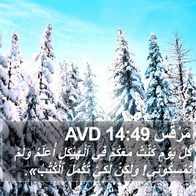 مَرْقُس 14:49 AVD Bible Verse Image