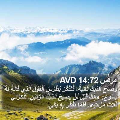 مَرْقُس 14:72 AVD Bible Verse Image