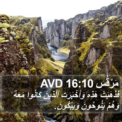 مَرْقُس 16:10 AVD Bible Verse Image