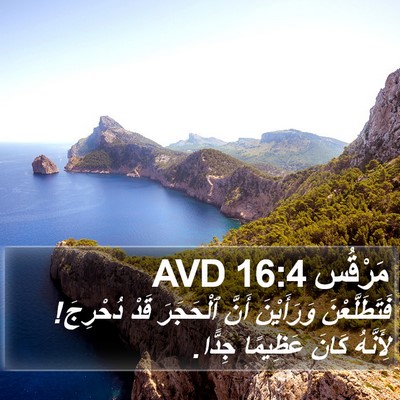 مَرْقُس 16:4 AVD Bible Verse Image