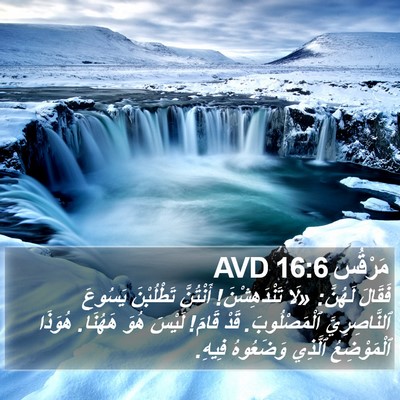 مَرْقُس 16:6 AVD Bible Verse Image