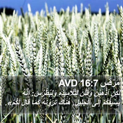 مَرْقُس 16:7 AVD Bible Verse Image