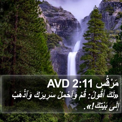 مَرْقُس 2:11 AVD Bible Verse Image