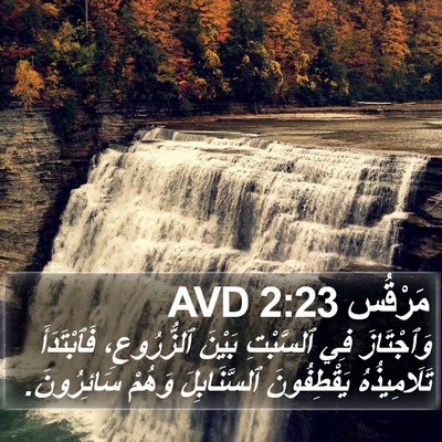 مَرْقُس 2:23 AVD Bible Verse Image