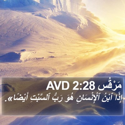 مَرْقُس 2:28 AVD Bible Verse Image